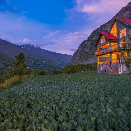 Zostel Homes Rashil Tandi Exteriér fotografie