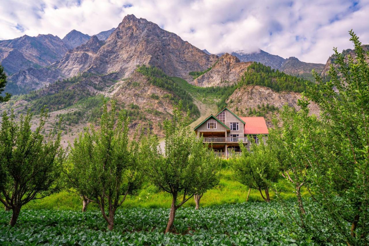 Zostel Homes Rashil Tandi Exteriér fotografie