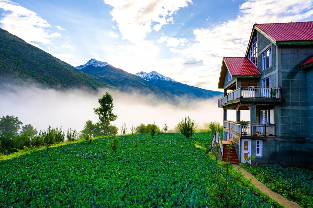 Zostel Homes Rashil Tandi Exteriér fotografie