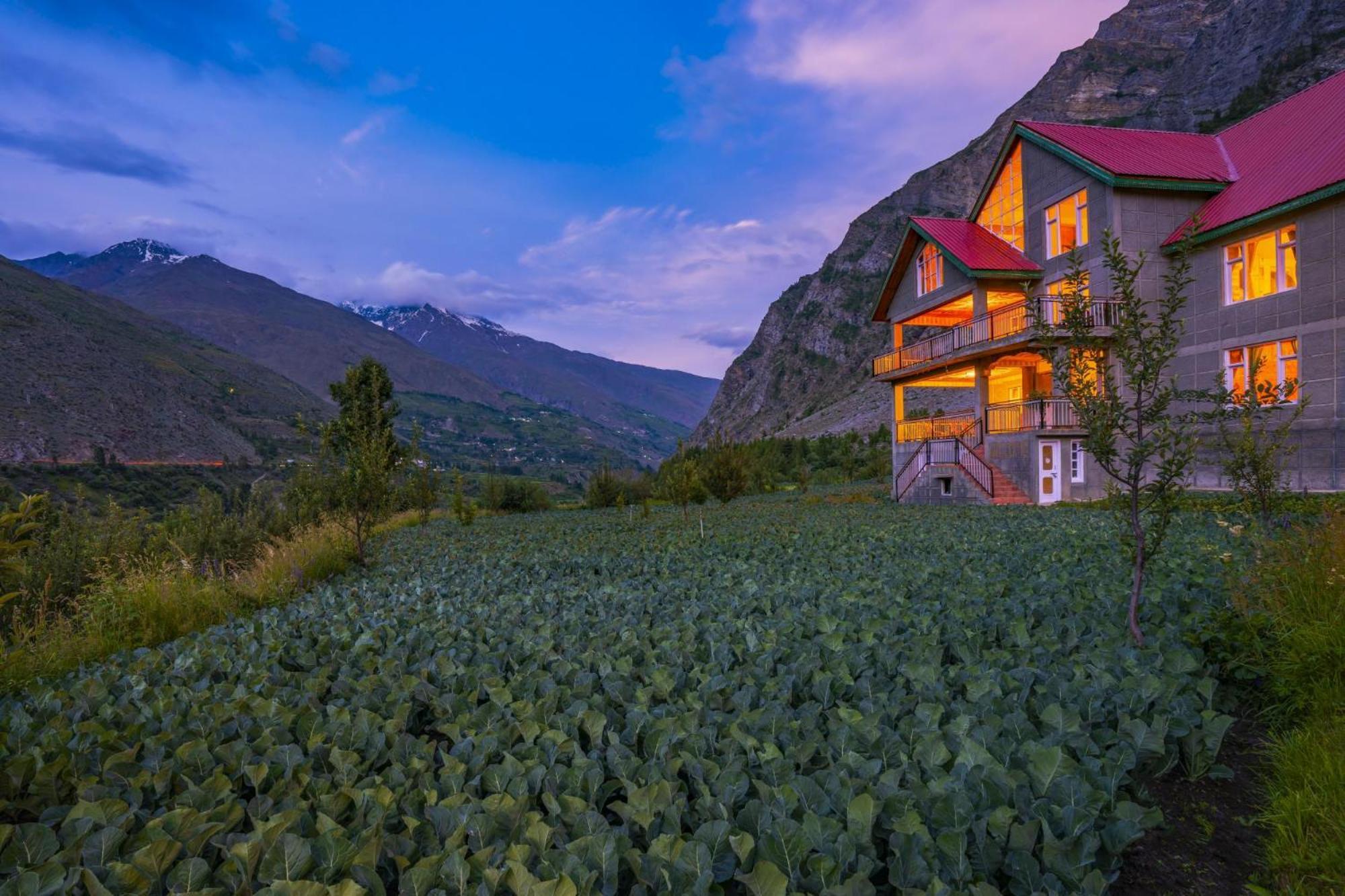 Zostel Homes Rashil Tandi Exteriér fotografie